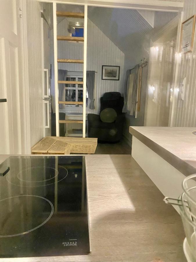 Olenilsoya Mini Villa Reine Bagian luar foto