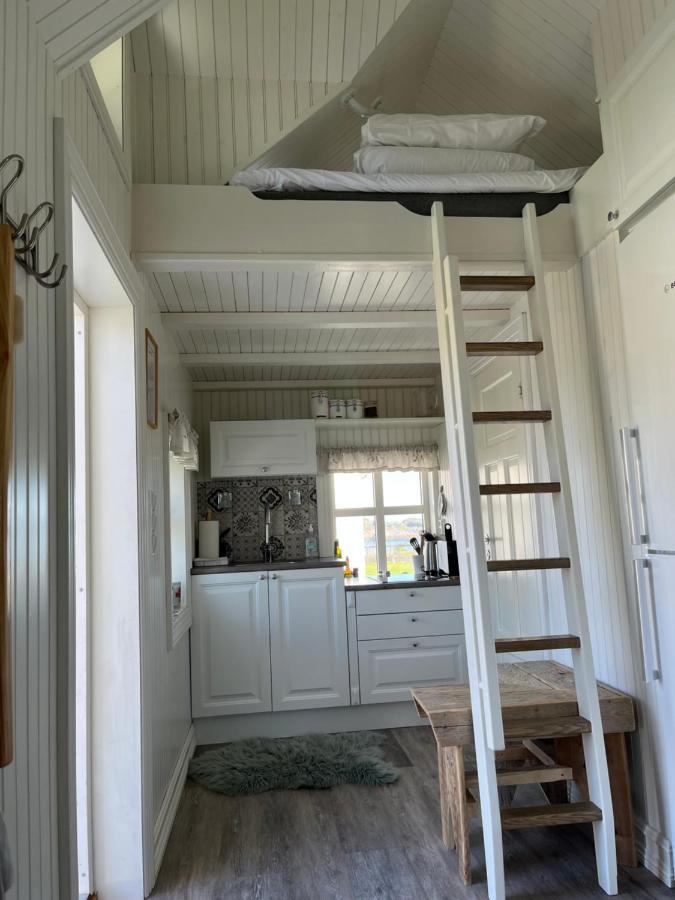Olenilsoya Mini Villa Reine Bagian luar foto